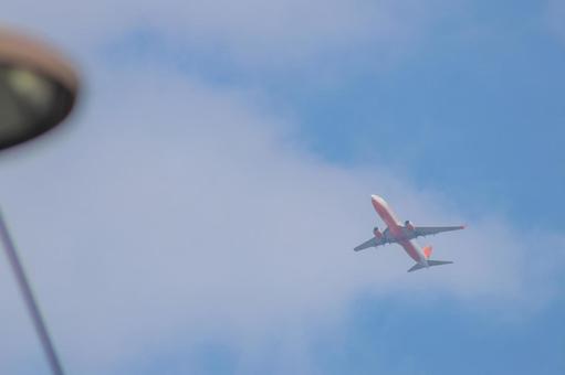 昼の陽光を浴びての写真