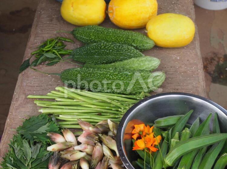 ヘルシー野菜 オクラ,オーガニック,ゴーヤの写真素材
