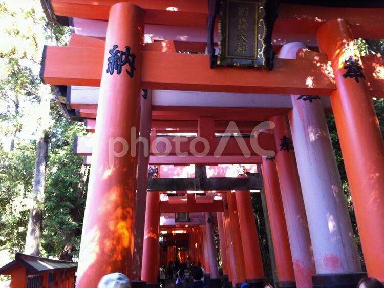 伏見稲荷退社 パワースッポト,観光,歴史の写真素材