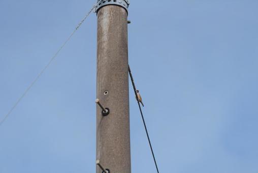 電線に止まって辺りを見回すスズメ 電線に止まって辺りを見回すスズメの写真