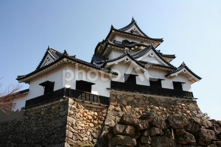 3月の彦根城 彦根,城,3月の写真素材