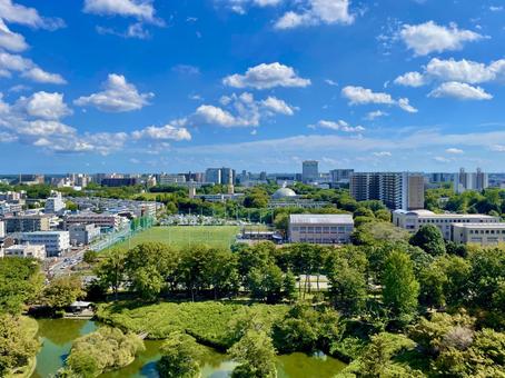 松見展望塔から望むつくばセンターの景観 松見展望塔から望むつくばセンターの景観の写真