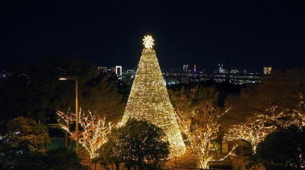 お台場のXmasイルミネーション・東京都 冬,クリスマス,お台場の写真素材