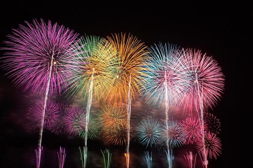 25年長岡まつり 花火 25年長岡まつり 花火の写真