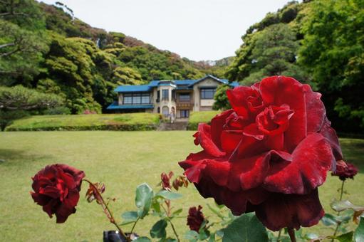 鎌倉文学館 鎌倉文学館 鎌倉文学館,洋館,建築の写真素材