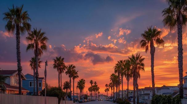 夏の夕暮れに吹く涼しい風 夏の夕暮れに吹く涼しい風の写真