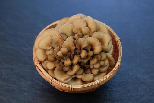舞茸 舞茸 舞茸,キノコ,食材の写真素材