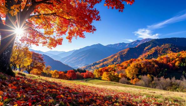 紅葉の風景 紅葉の風景 紅葉,秋,もみじの写真素材