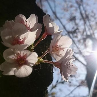 「これから」 「これから」の写真