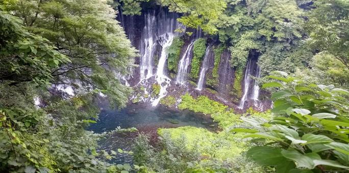 白糸の滝 富士宮 展望台 白糸の滝 富士宮 展望台の写真