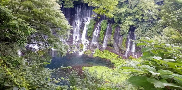 白糸の滝　富士宮　展望台 白糸の滝,世界遺産,天然記念物の写真素材