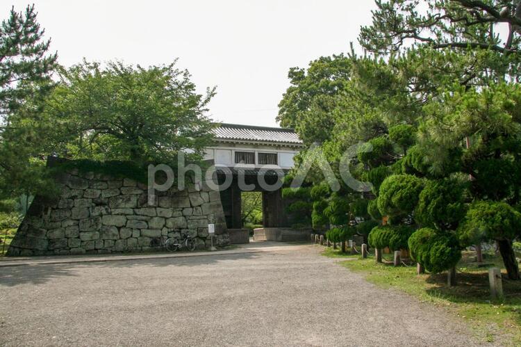 お城の入口 城,城門,入口の写真素材