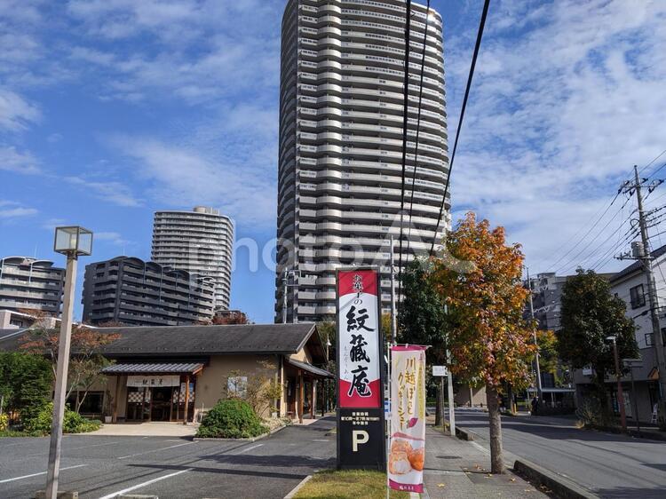 タワーマンション　街並み タワーマンション,高層マンション,街並みの写真素材
