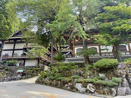 永平寺の参道 2025年夏 永平寺の参道 2025年夏 夏,永平寺,福井の写真素材