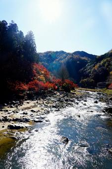 紅葉と川の美しい景色 香嵐渓,もみじ,紅葉の写真素材