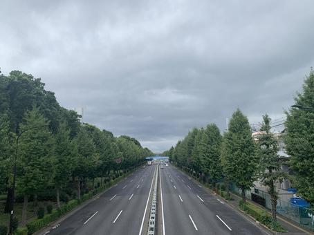 雨上がりの道路 雨上がりの道路の写真