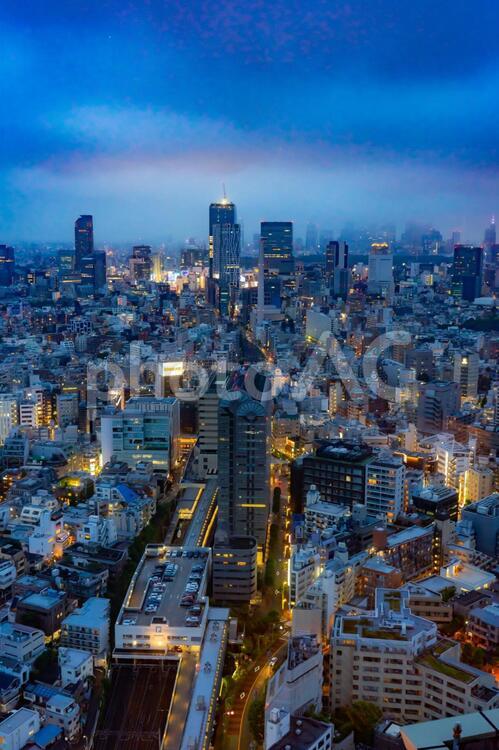 恵比寿ガーデンプレイスからの夜景 恵比寿ガーデンプレイス,東京,恵比寿の写真素材