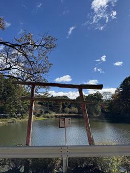晩秋の小坂田池（長野県塩尻市） 小坂田池,池,pondの写真素材