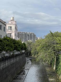 神田川9月：雨上がりの神田川　2025 雨上がり,曇り,雲の写真素材