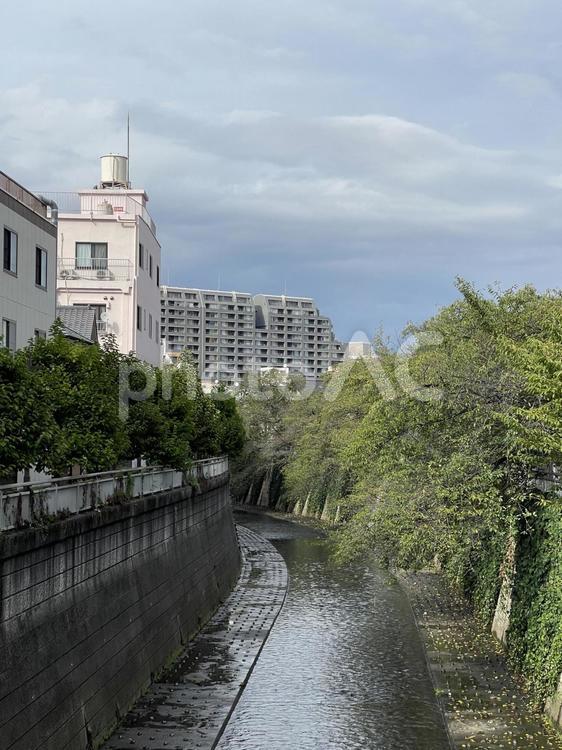 神田川9月：雨上がりの神田川　2025 雨上がり,曇り,雲の写真素材