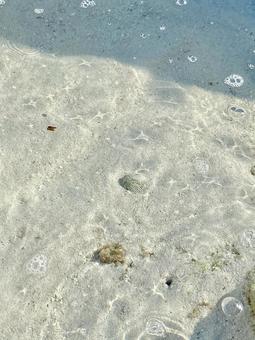 沖縄久米島の海の砂 沖縄久米島の海の砂の写真