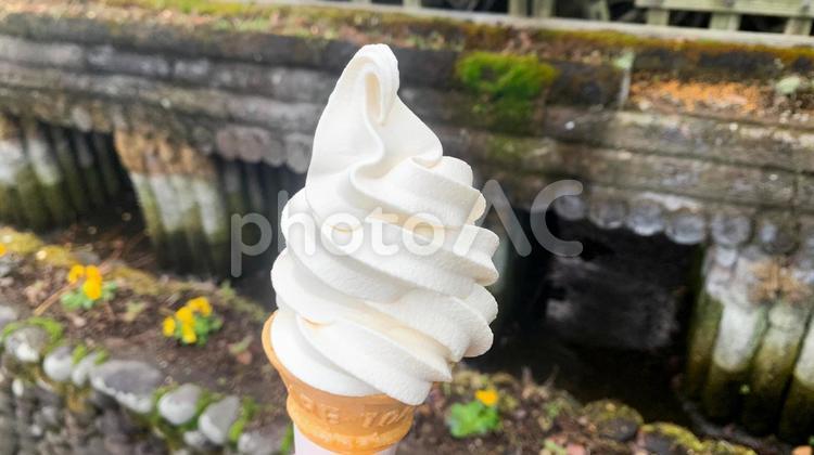はちみつソフトクリーム ソフトクリーム,はちみつ,アイスクリームの写真素材
