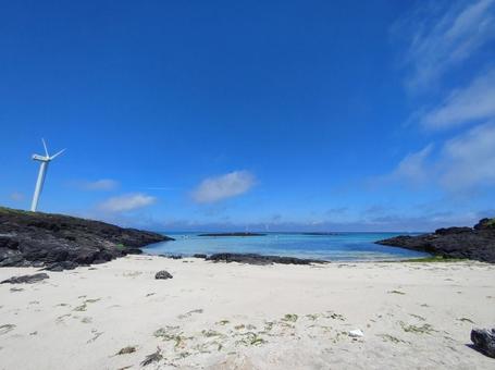 Photo, conan beach, snorkeling spot, jeju, 