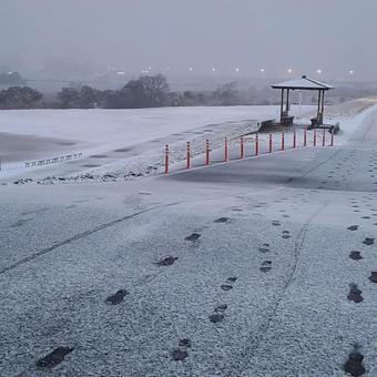 雪の薄化粧 雪の薄化粧の写真