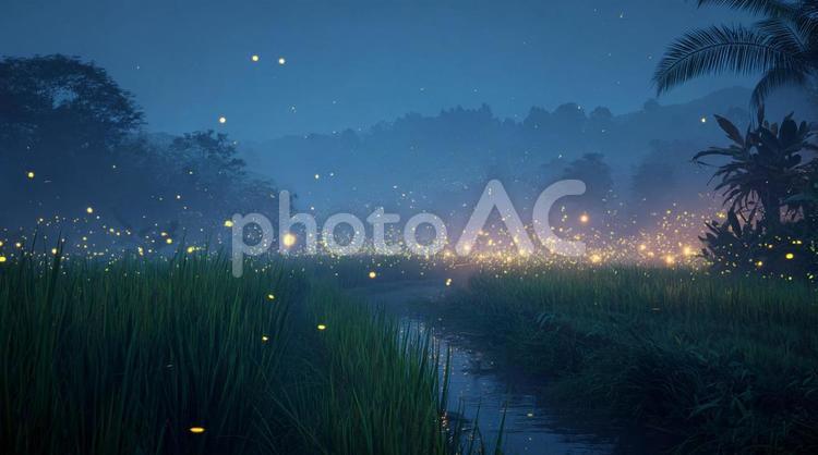 ほたると夜景 ほたる,蛍,夜景の写真素材