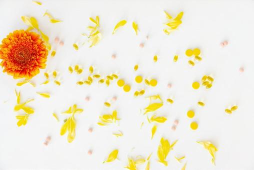 散らばった錠剤と花 生理,月経,薬の写真素材