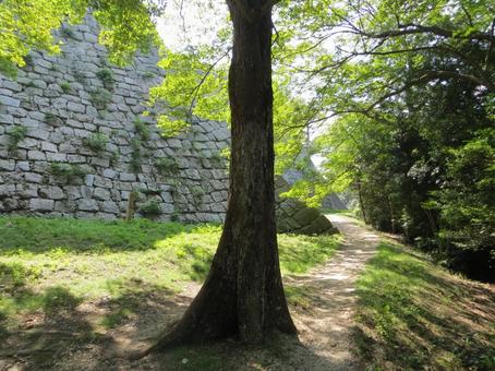 丸亀城 城跡の風景 北西側の高石垣 丸亀城 城跡の風景 北西側の高石垣 丸亀城,現存天守,高石垣の写真素材