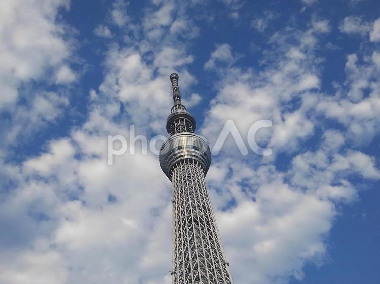 青い空と白い雲ととうきょうスカイツリー とうきょうスカイツリー,青空,白い雲の写真素材