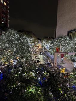 けやき坂のイルミネーション　 六本木,けやき坂通り,イルミネーションの写真素材