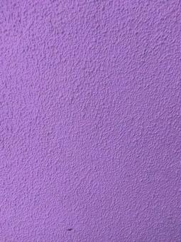 パープルの壁 パープルの壁の写真