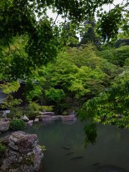 百済寺 百済寺の写真