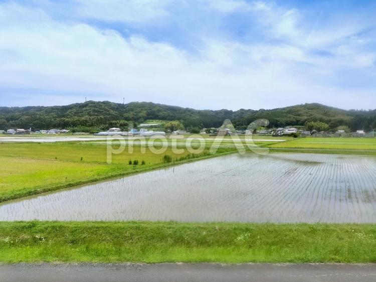 天浜線車窓より袋井山田の初夏の田園風景 水田,田圃,田水張るの写真素材