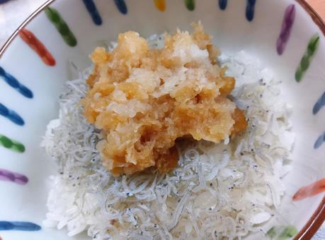 丼(ちりめんじゃこと大根おろし) 丼(ちりめんじゃこと大根おろし) 丼,ちりめんじゃこ,大根おろしの写真素材