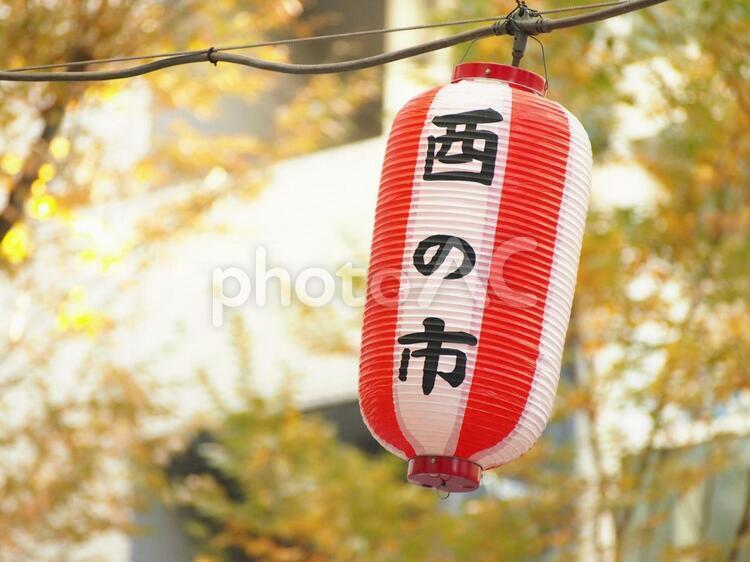 酉の市のちょうちん 祭り,秋,秋祭りの写真素材