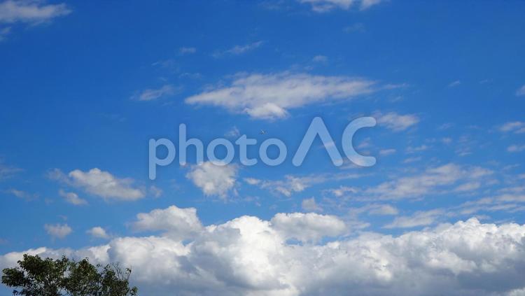 秋空・雲と青空と飛行機 秋空,飛行機,白雲の写真素材