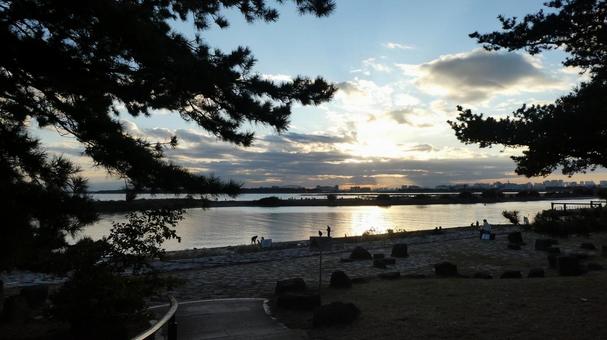 葛西臨海公園・夕日 葛西臨海公園・夕日 葛西臨海公園,晴れ,公園の写真素材