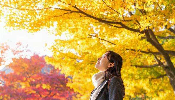 紅葉狩り  紅葉を見上げて楽しむ女性 紅葉狩り  紅葉を見上げて楽しむ女性の写真