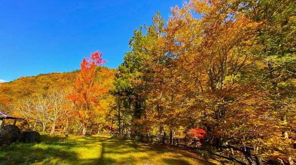 紅葉のせせらぎ街道 平滝付近の公園:3 紅葉のせせらぎ街道 平滝付近の公園:3 紅葉,せせらぎ街道,秋の写真素材