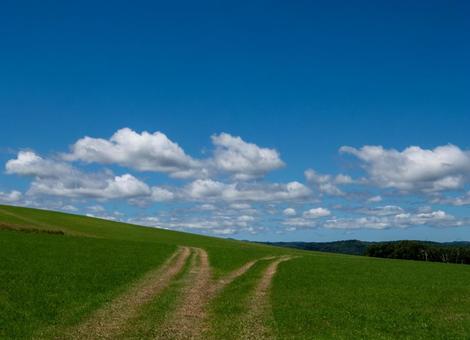 青空の下の丘と道 青空の下の丘と道 丘,道,草原の写真素材