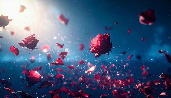 光とボケに包まれたバラの花びらの写真