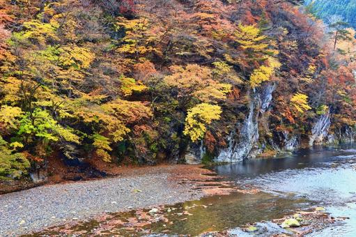 河原と紅葉 河原と紅葉 紅葉,もみじ,11月の写真素材