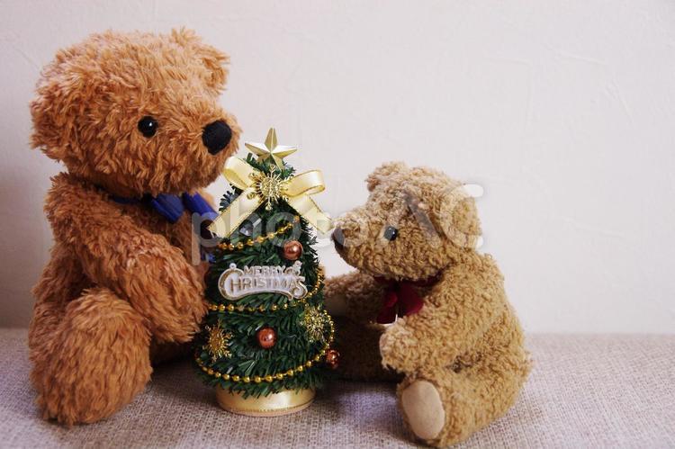 クリスマス　クマちゃんたち テディベア,くま,クマの写真素材