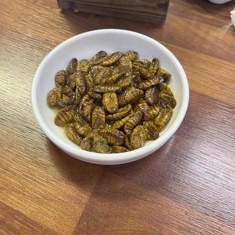 韓国のおかず 韓国のおかず 韓国のおかず,タンパク質,幼虫の写真素材
