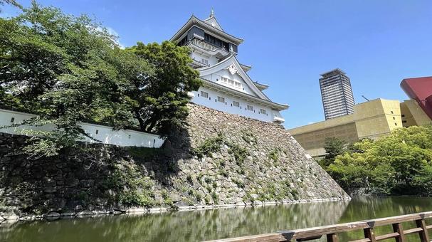緑と歴史が調和する美しい城 緑と歴史が調和する美しい城 城,日本建築,石垣の写真素材
