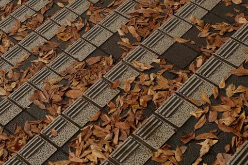 落ち葉に覆われた歩道 落ち葉に覆われた歩道の写真