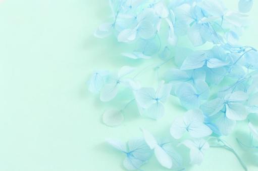 青い花の背景 青い花の背景の写真